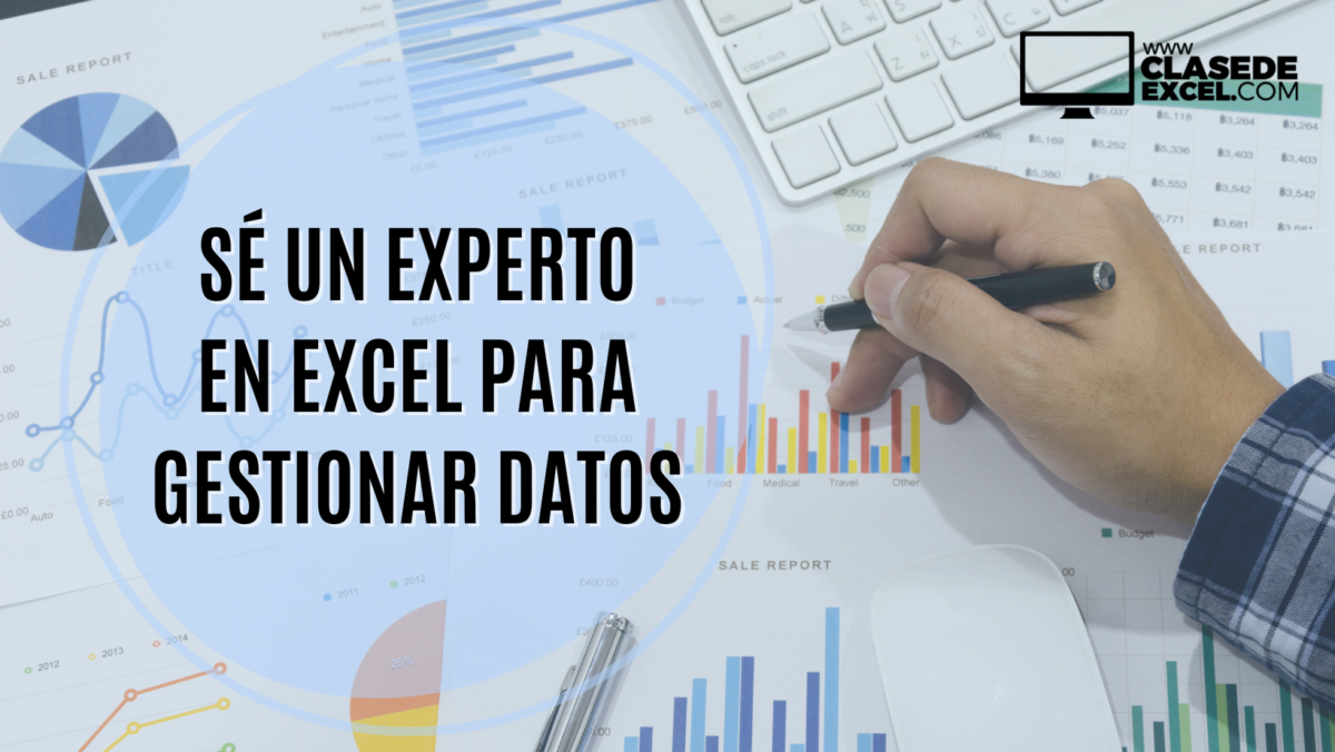 Sé un experto en Excel para gestionar datos